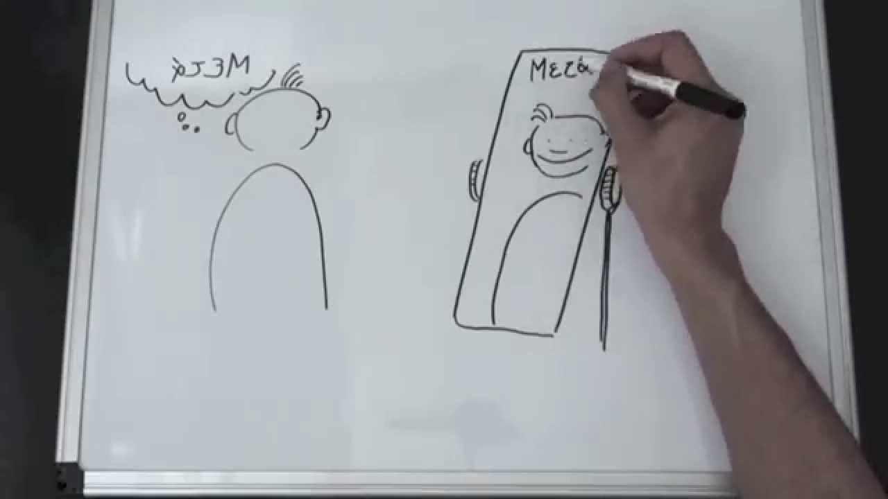 Metacognition