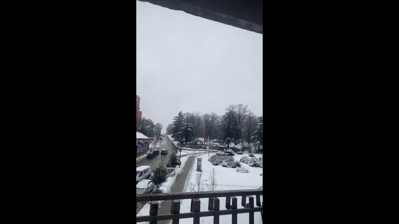 Arandjelovac - Sneg - Park - Semafor - Ulica - Uzivo - Live Stream