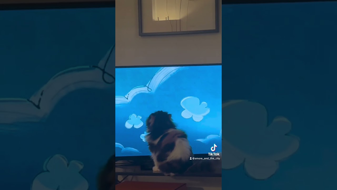 The Peanuts Fan