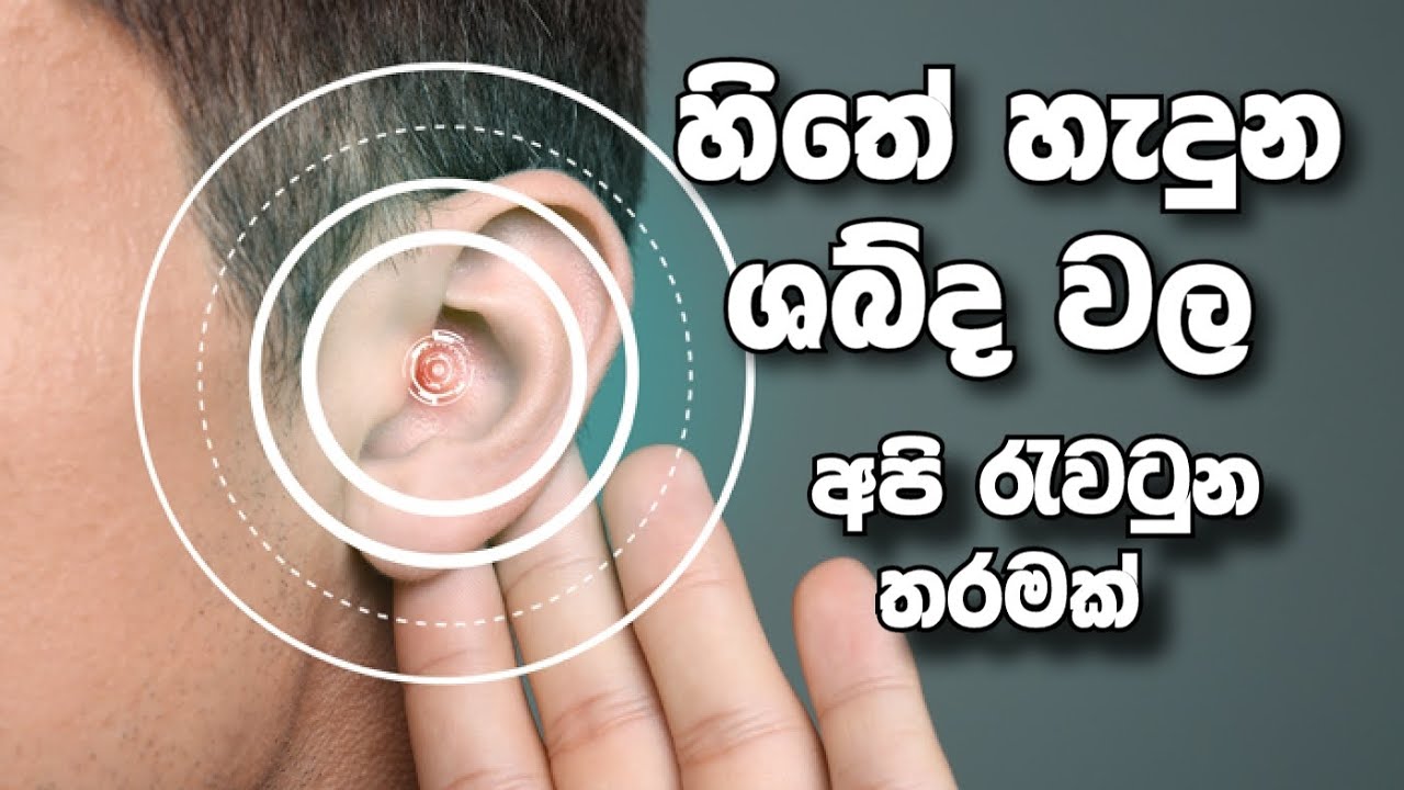 හිතේ උපදින ශබ්දය | hadapangoda niwathapa himi 