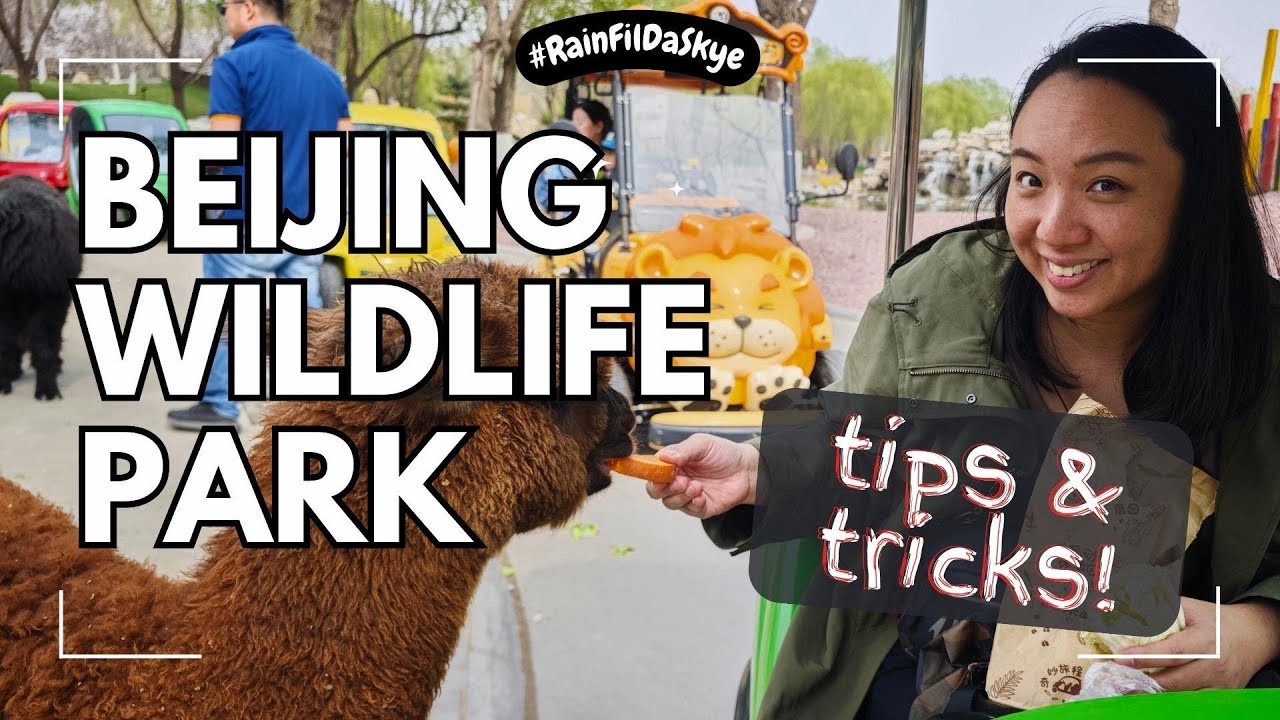 Beijing Wildlife Park Adventure: Insider Tips & Tricks! 🦁🍃 北京野生动物园