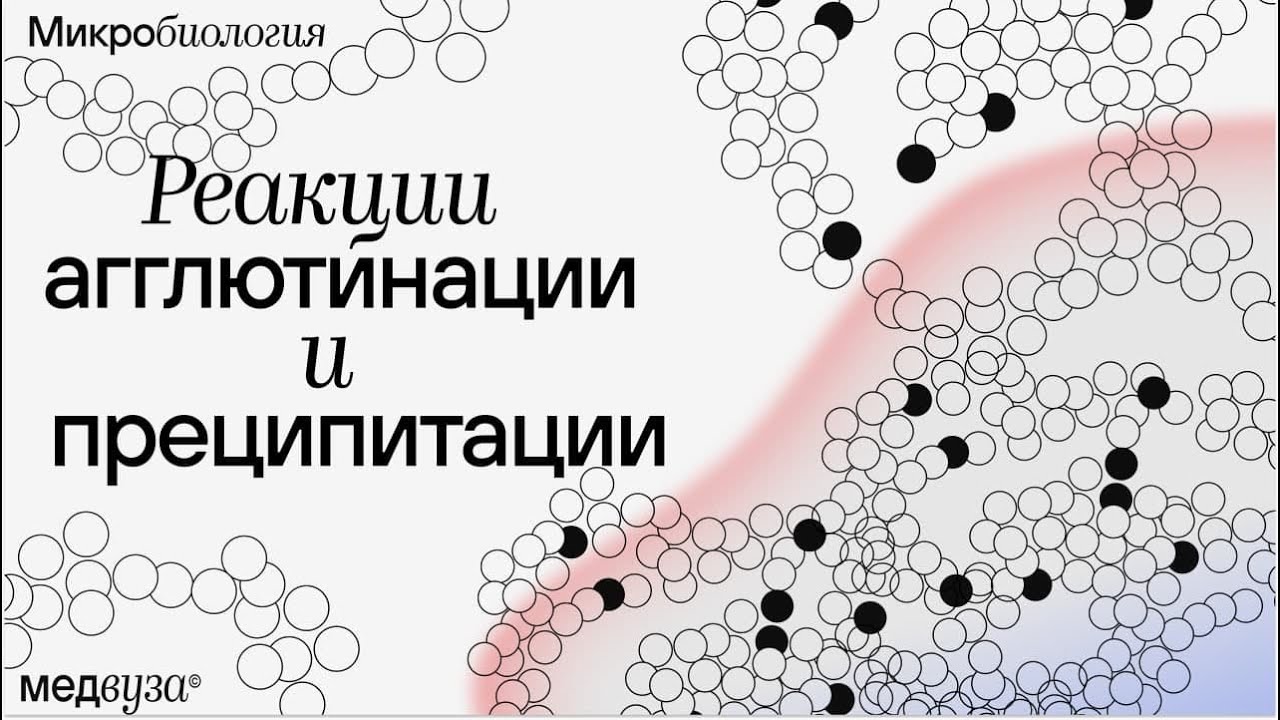 Реакция агглютинации и преципитации | Иммунология