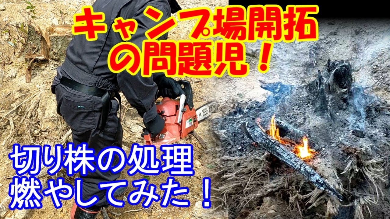 キャンプ場開拓　厄介な切り株の処理　切り株　燃やす