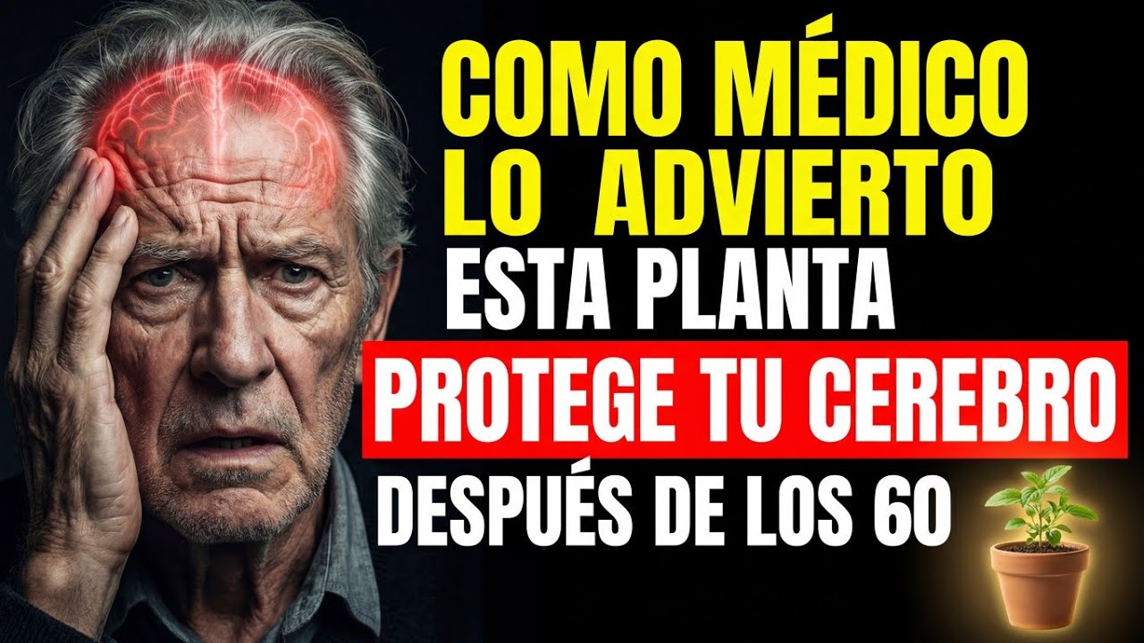 6 Plantas Respaldadas por la Ciencia que Protegen tu Cerebro Después de los 60