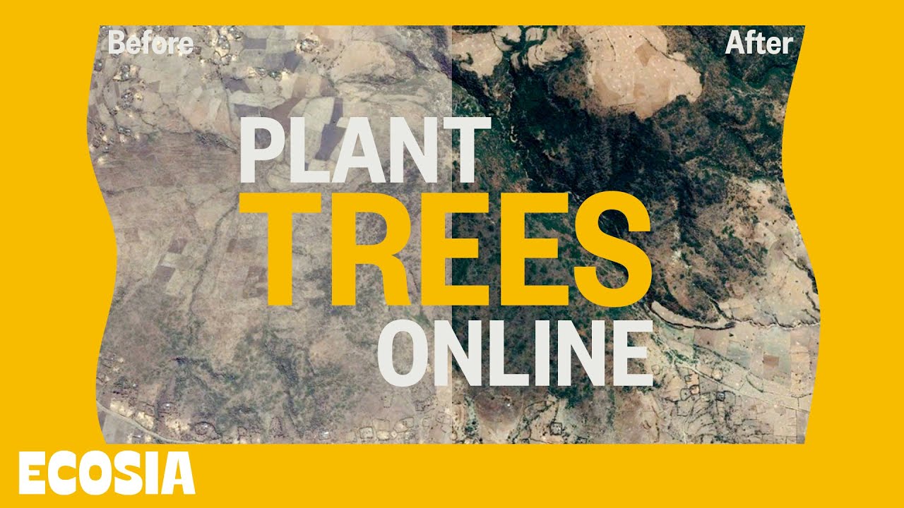 What&rsquo;s Ecosia and how does it work?