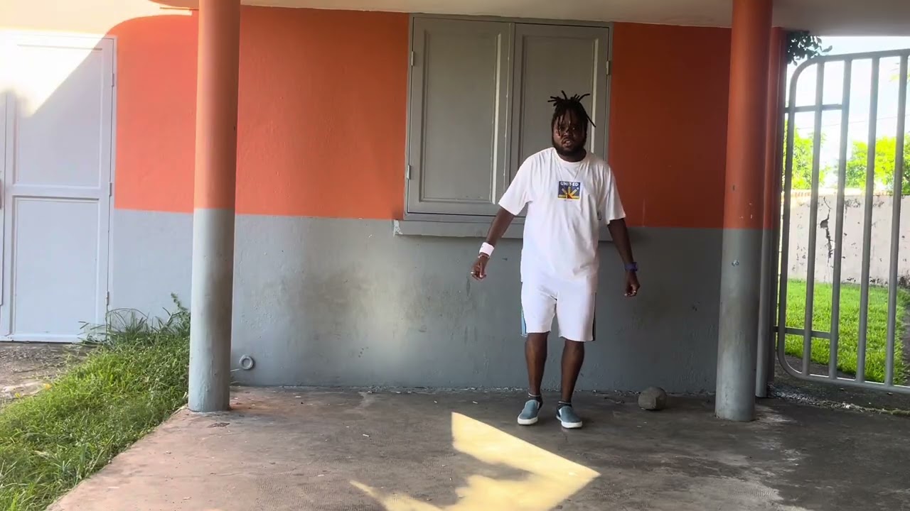 Omax-Party temps nice(vidéo)