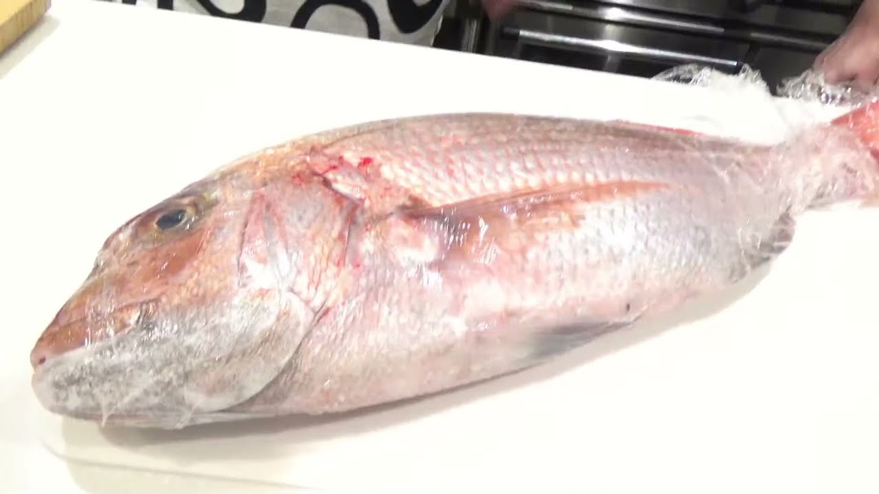 松ヶ瀬隆弥プロの極上料理を食べ尽くそう！【#まつがせクック】