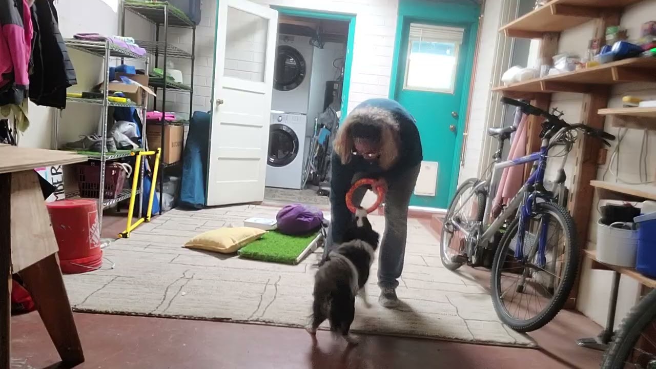 Sh*pile game