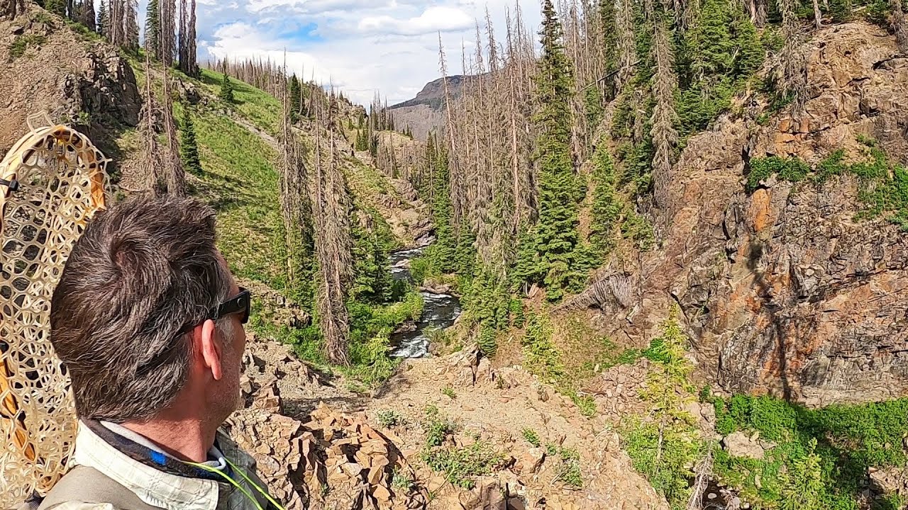 BACKCOUNTRY HIKE to a remote stream full of RARE and NATIVE trout based on a tip from a stranger!
