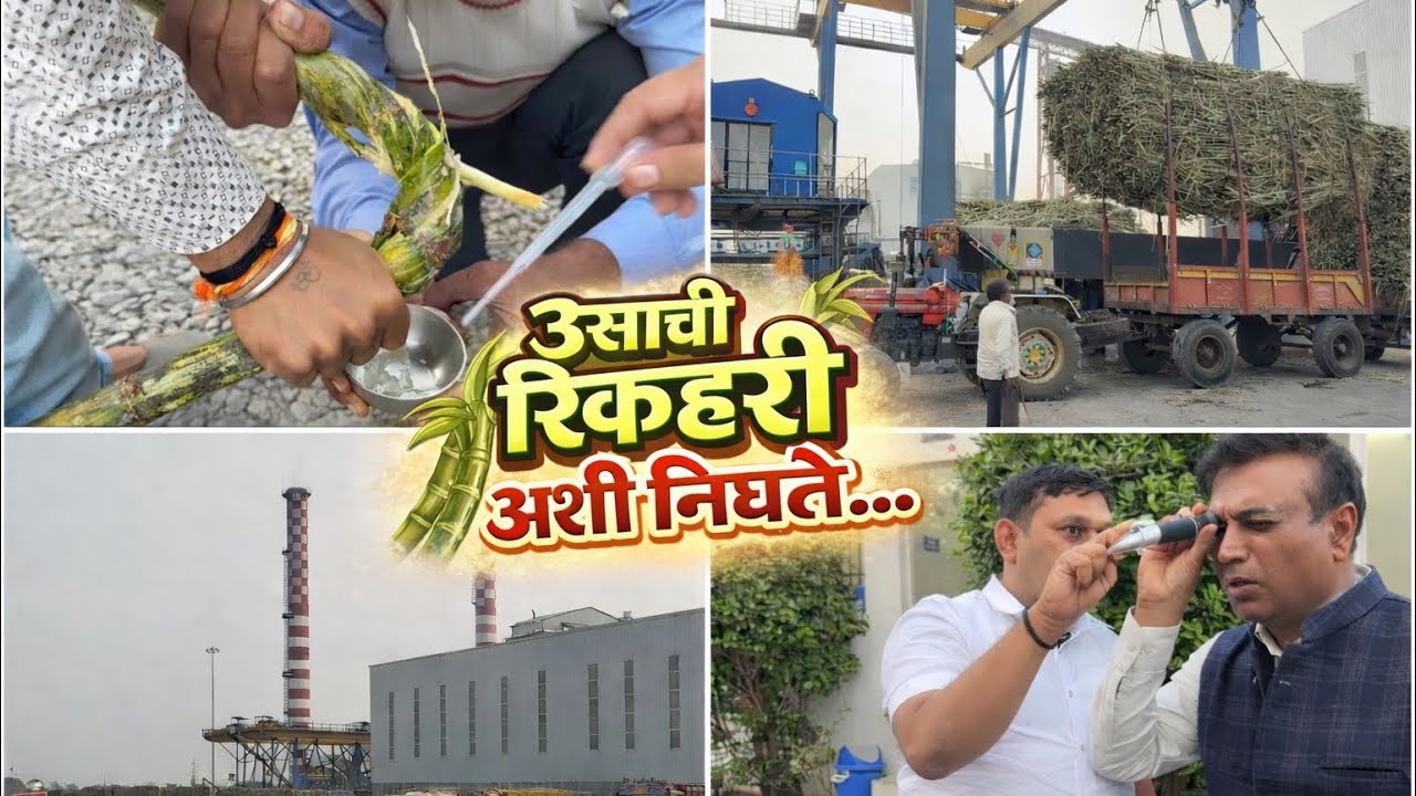ऊसाची रिकव्हरी कशी काढतात ? तीन सॅंपल. त्याचा भागाकार. २ हजारांचे यंत्र 