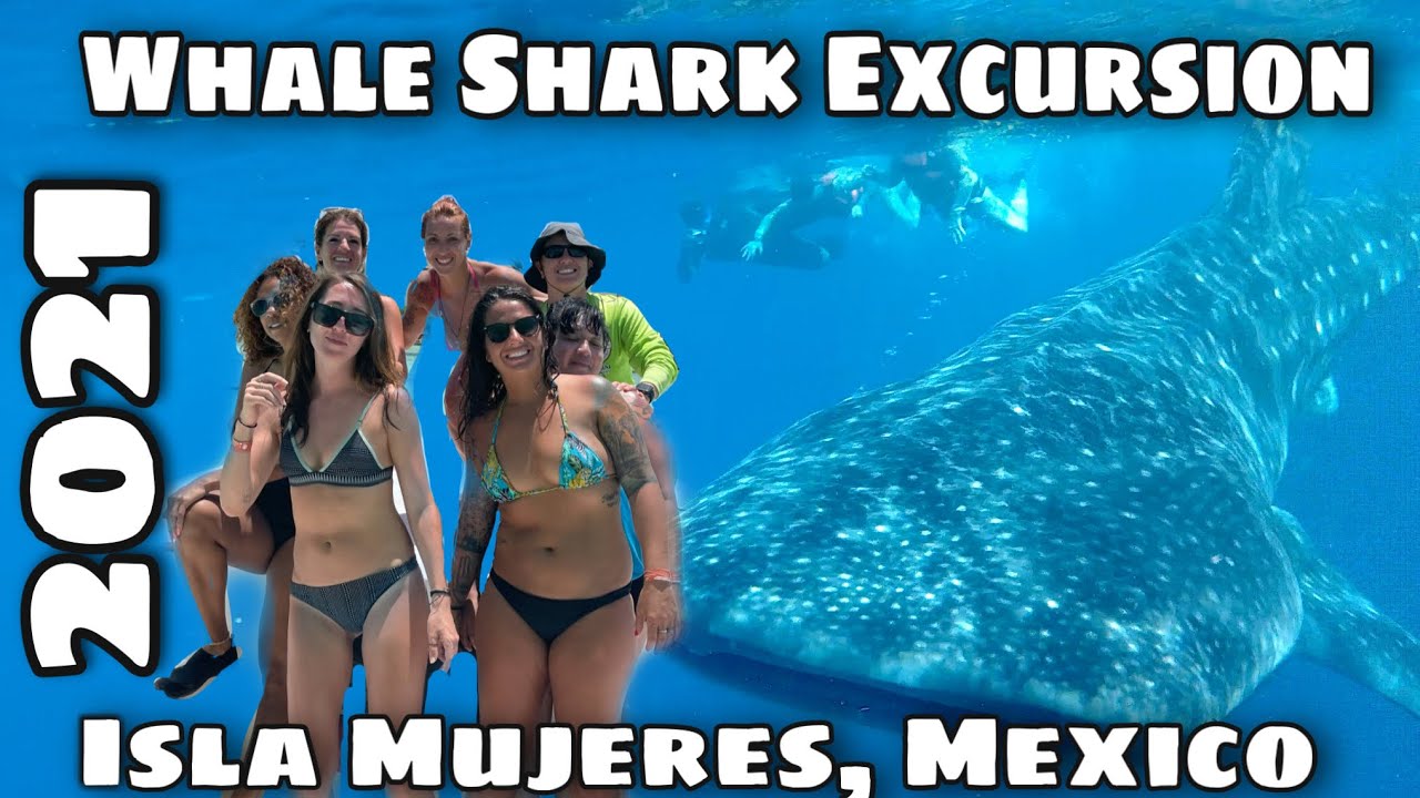Whale Shark Excursion, Isla Mujeres, Mexico, 2021.  An experience of a lifetime!