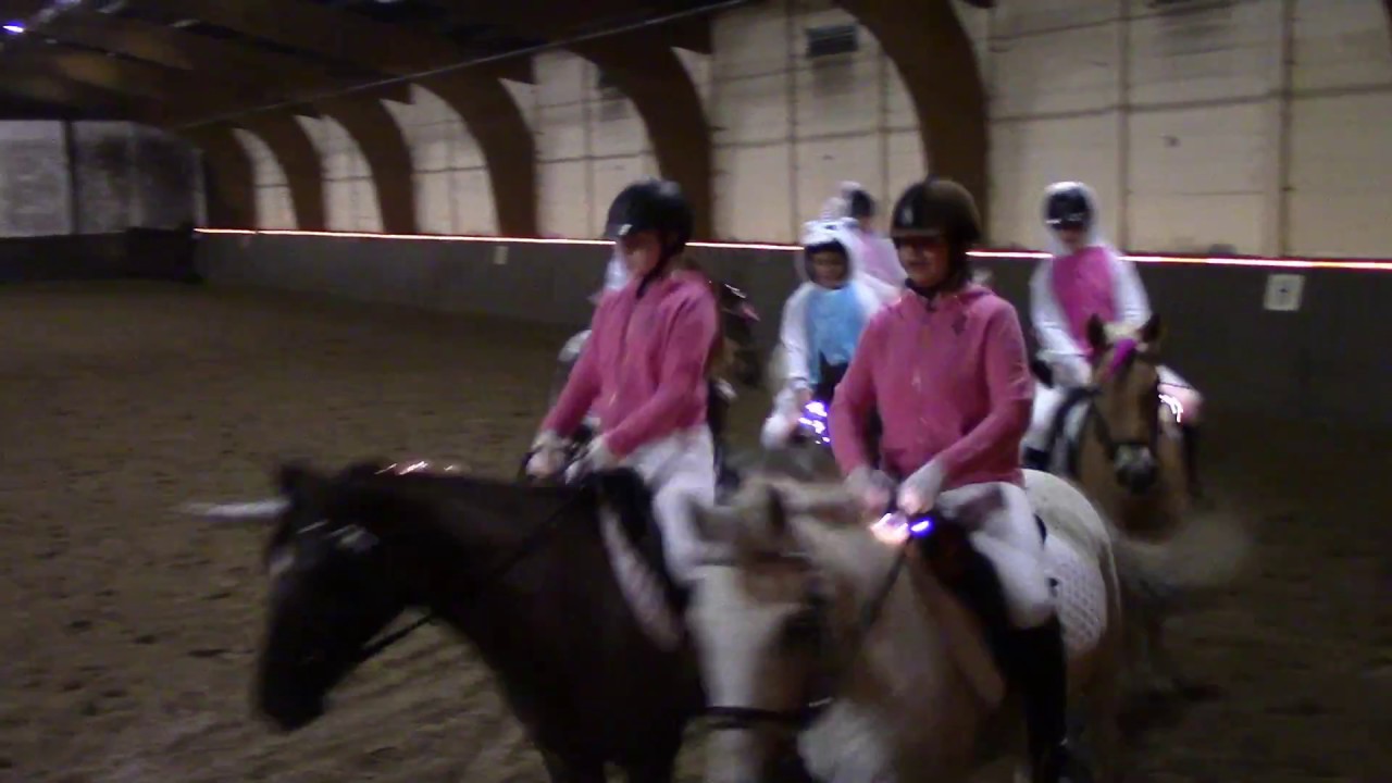Manege Berestein -1 januari 2017