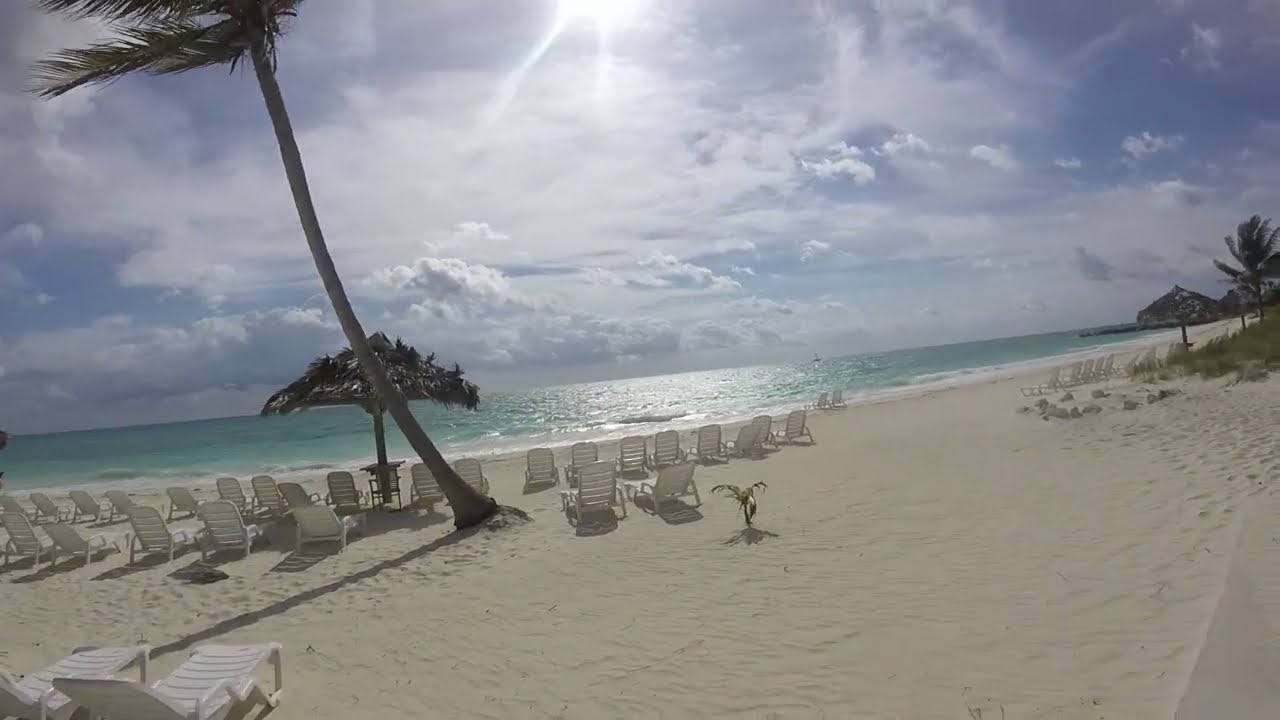 Taino Beach Resort - Freeport, Bahamas - Tour of Restaurant, Beach, Grotto Bar, Waterslide, & Pool