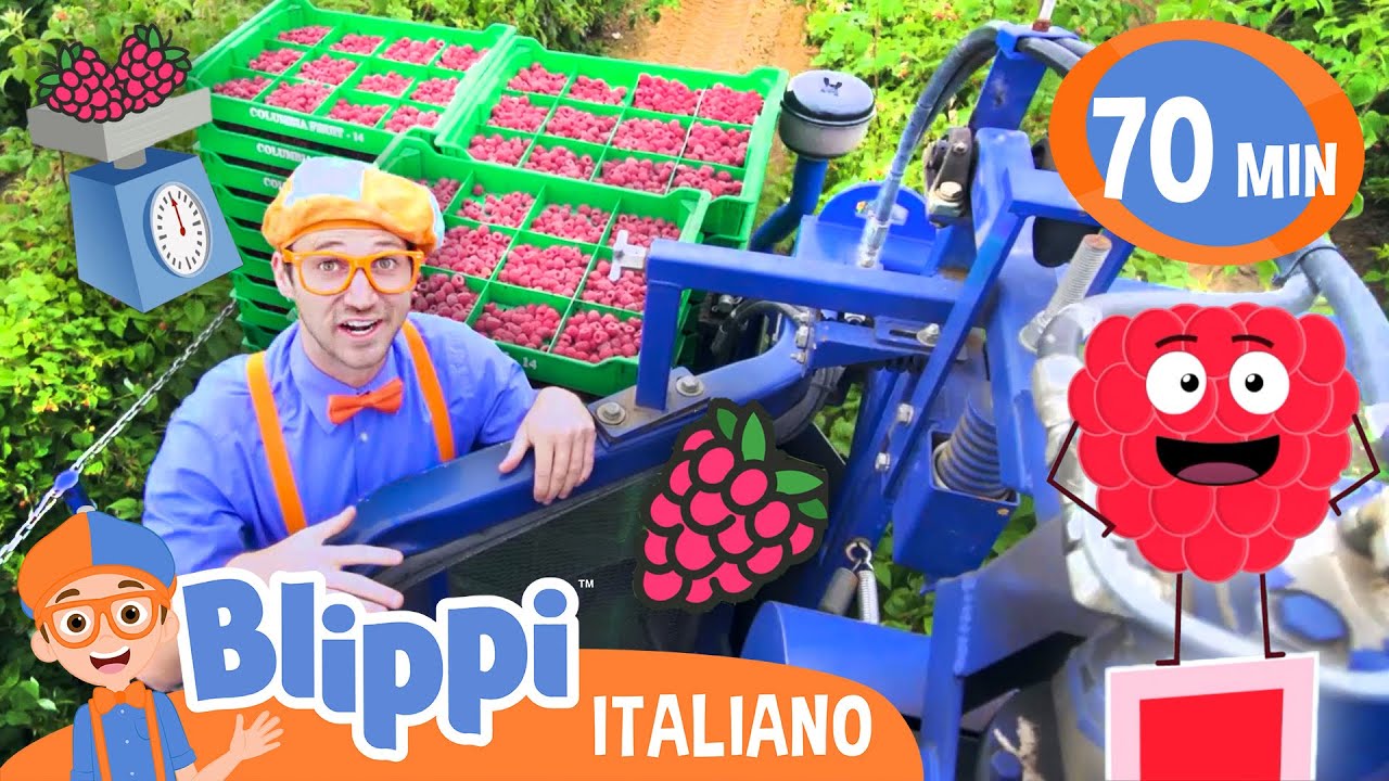Blippi visita una fabbrica di lamponi | Blippi in Italiano | Video educativi per bambini