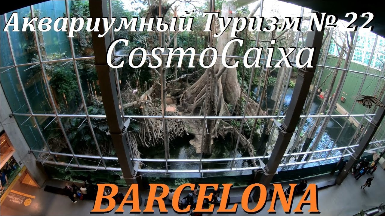 Аквариумный туризм №22 (Аквариум CosmoCaixa Барселона, крупнейший биотопный аквариум Южной Америки)