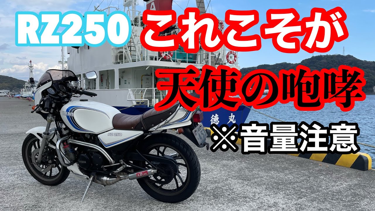 【 YAMAHA RZ250 】これが天使の咆哮 2スト パラツイン