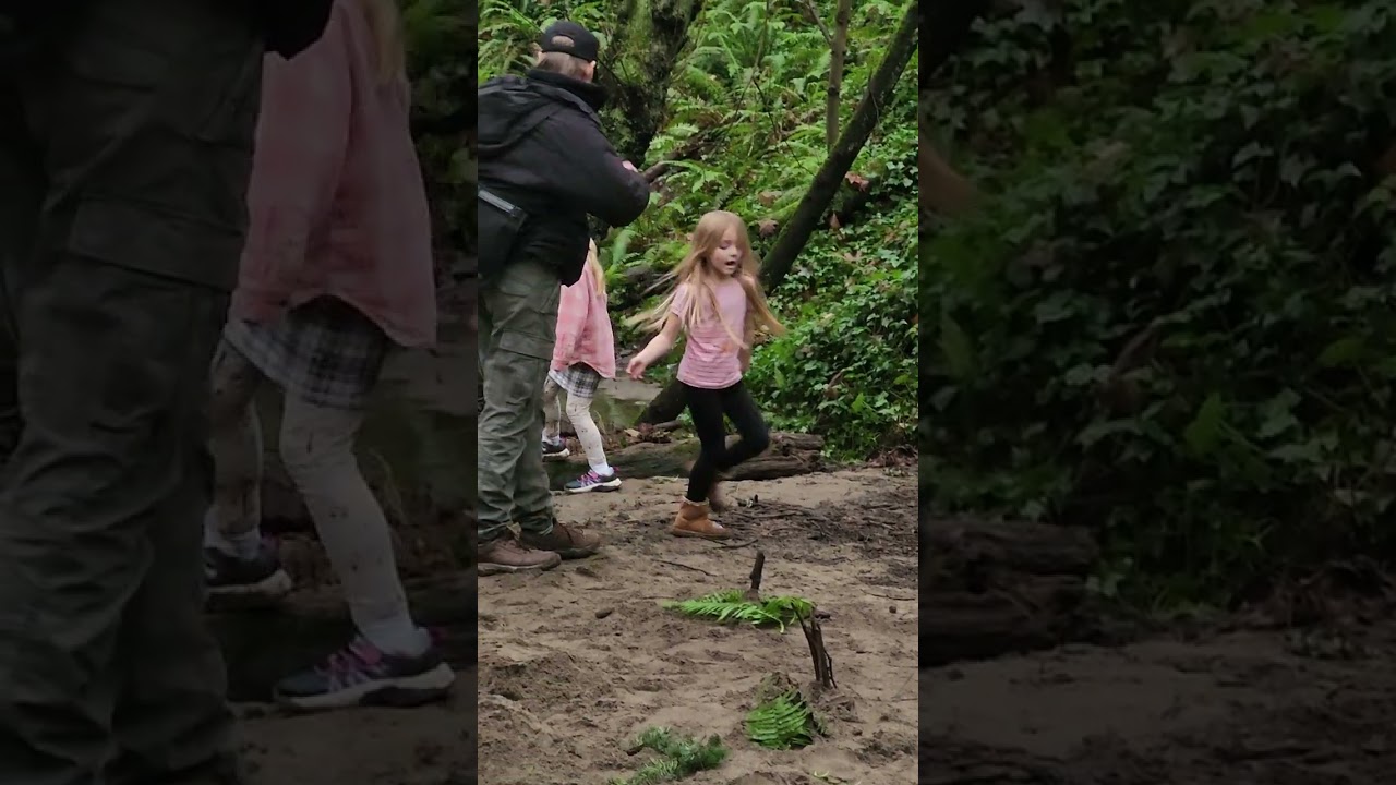 Forest Walking Victoria 26