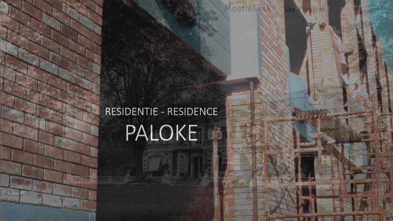 Paloke 2019  -  25 jaar
