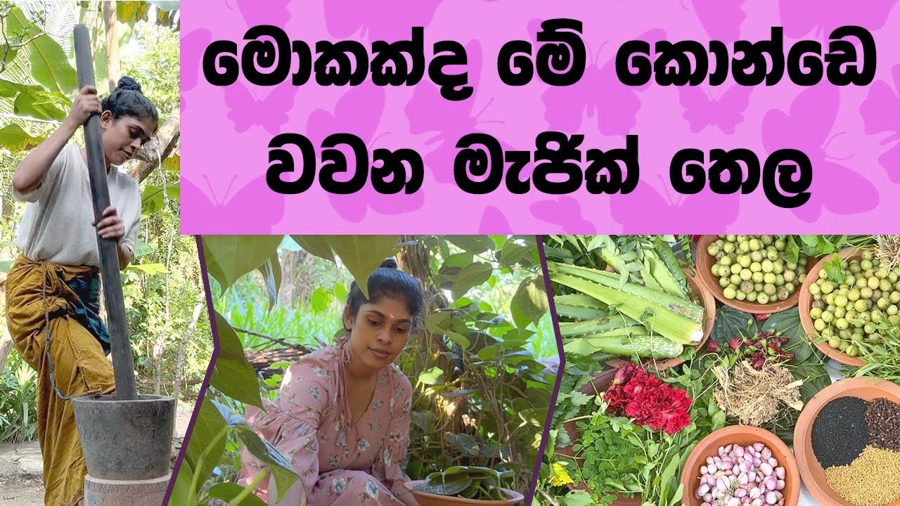 මොකක්ද මේ කොන්ඩෙ වවන මැජික් තෙල