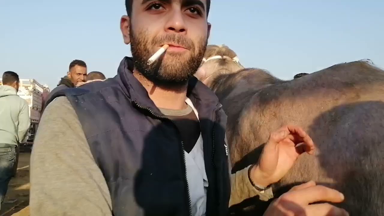 مشتريات الفلاحين من سوق الثلاثاء بالزقازيق بتاريخ ٣ ديسمبر ٢٠٢٤