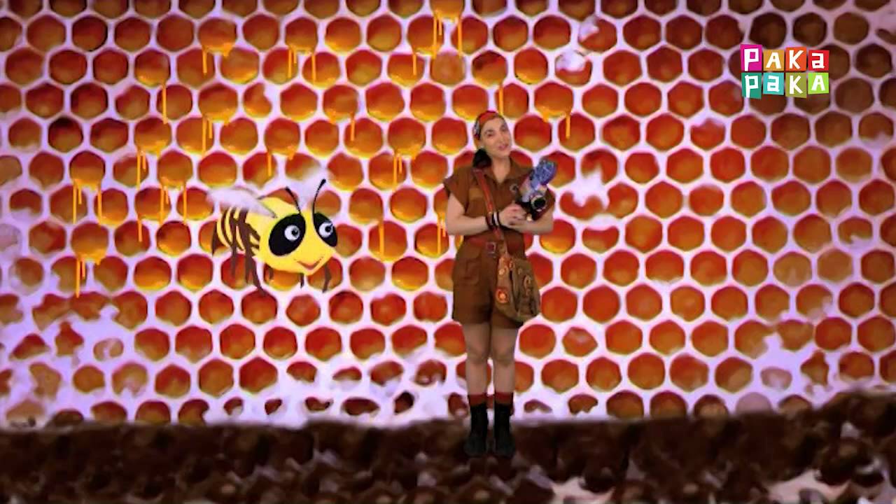 Animapaka II: Abeja (Cap. 25) - Canal Pakapaka