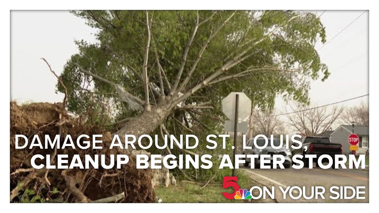 Cleanup begins after Friday storm: a look at the damage left behind in the St. Louis area