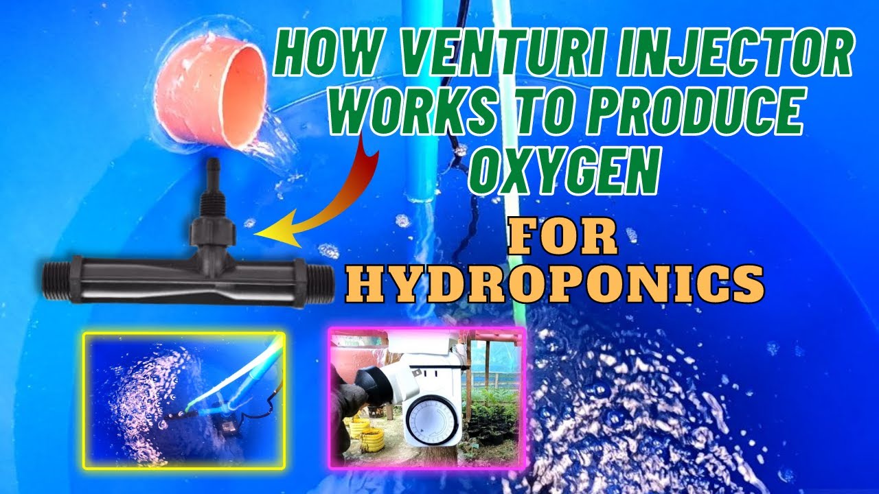 HOW VENTURI INJECTOR WORKS TO PRODUCE OXYGEN TO HYDROPONICS SYSTEM | PUMP TESTING | TONSKIE TV