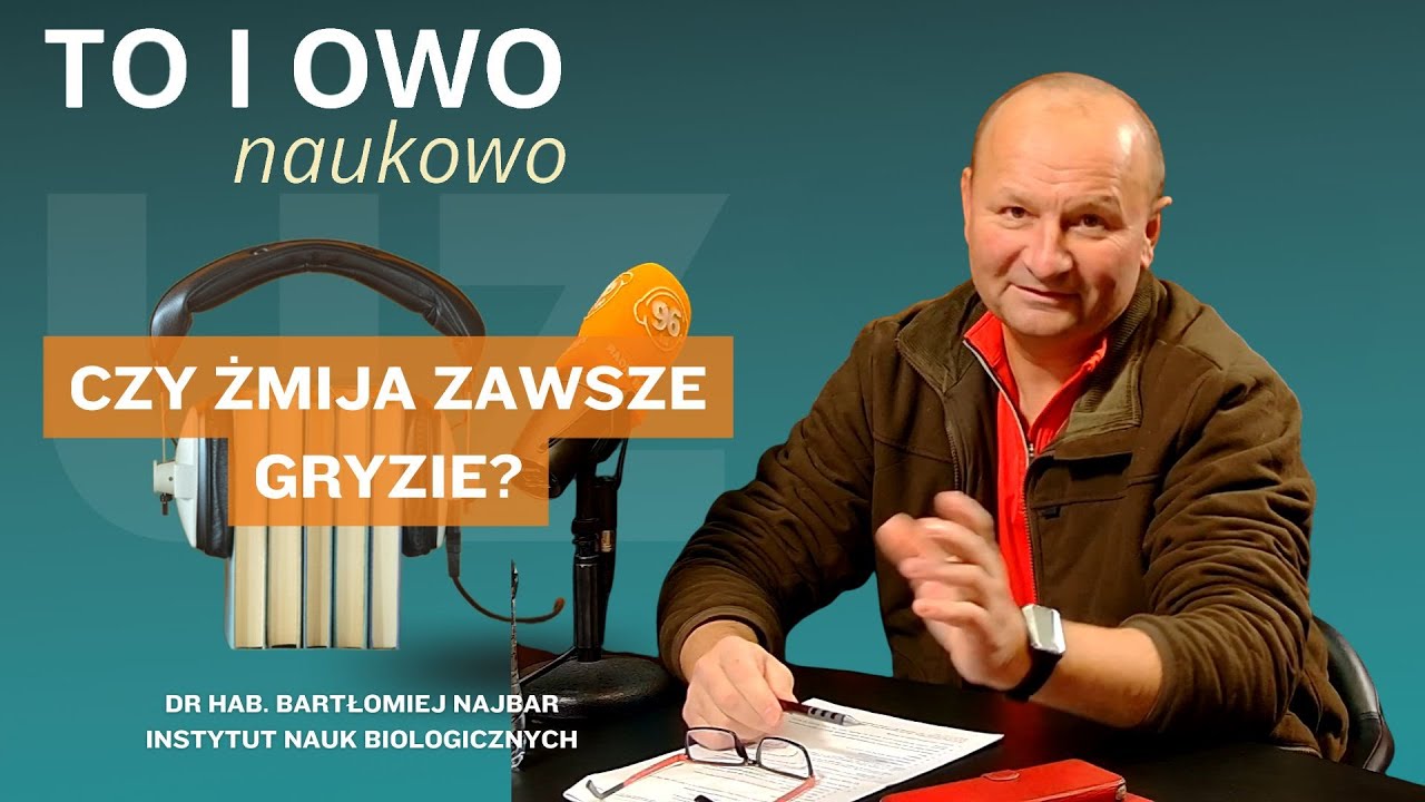 Żmije, padalce i tajemniczy wąż Eskulapa. Wszystko o polskich gadach! 🐍 dr hab. Bartłomiej Najbar