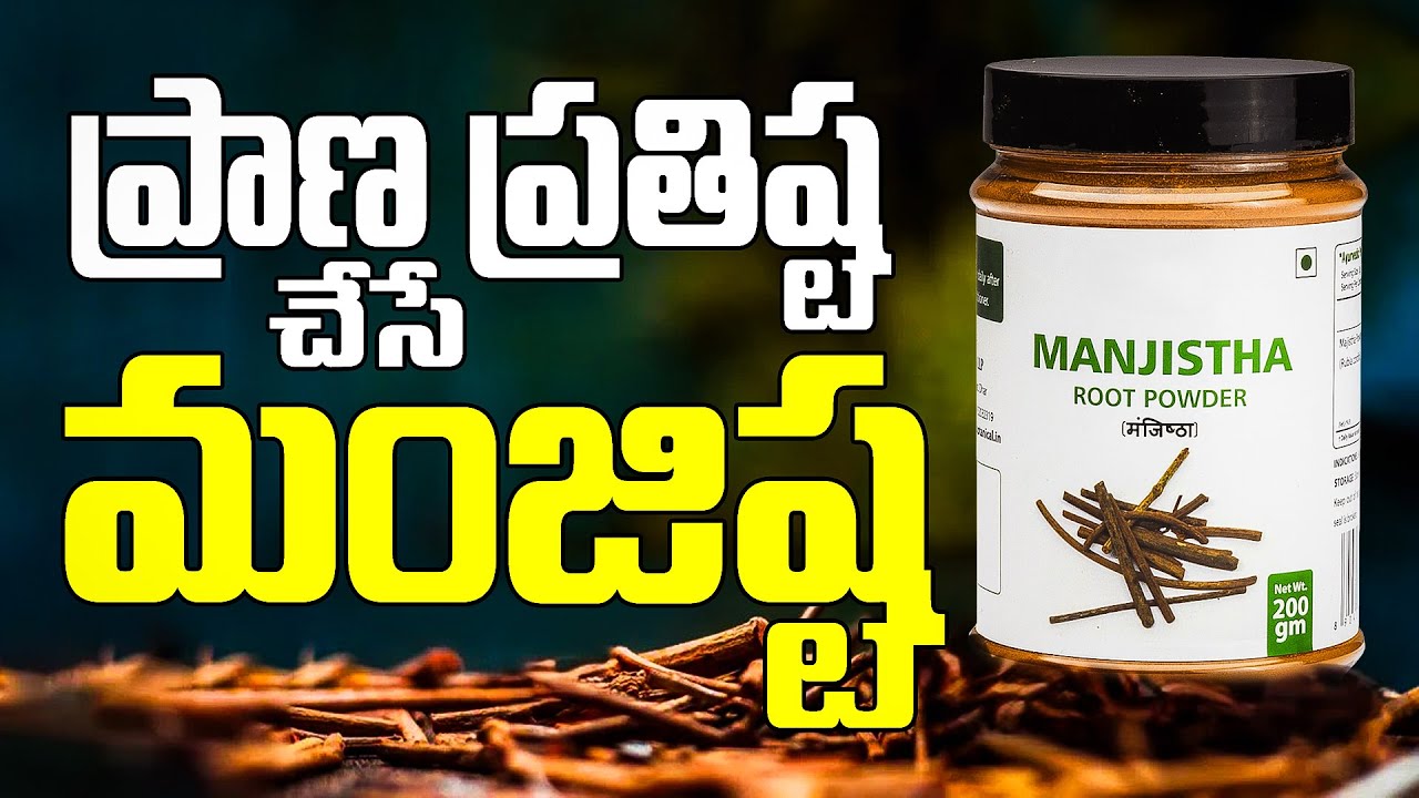 ప్రాణ ప్రతిష్ట చేసే మంజిష్ట | Manjistha Benefits: For Hair, Fat Loss, and Lung Health