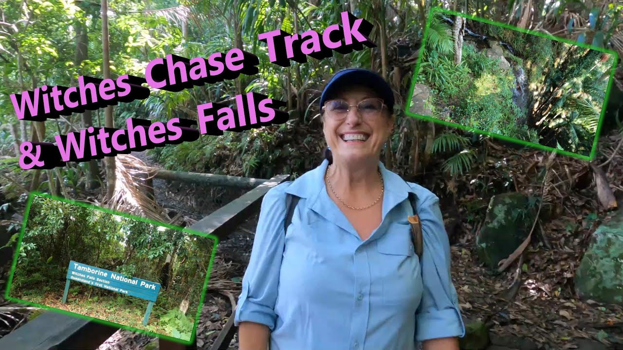 Short Hikes on Mt Tamborine - Witches Chase Track & Witches Falls Circuit, Days Out in SE Queensland