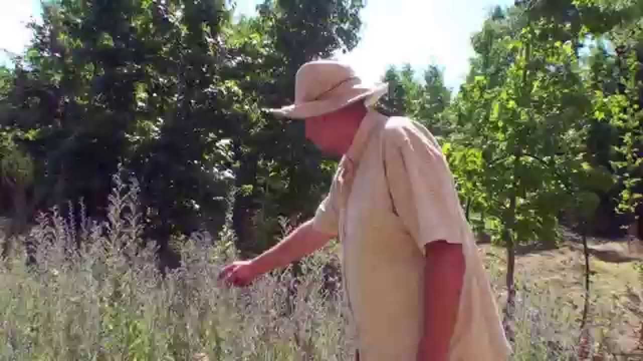 Joan Salicrú y la Agricultura Biodinámica