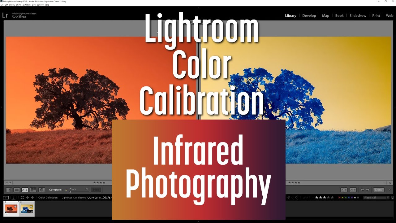 Infrared Photo edit with Lightroom Color Calibration