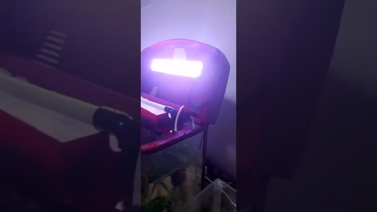تنظيف احواض السمك 😍😍😍 و انتظروا كل جديد 🌹🌹🌹
