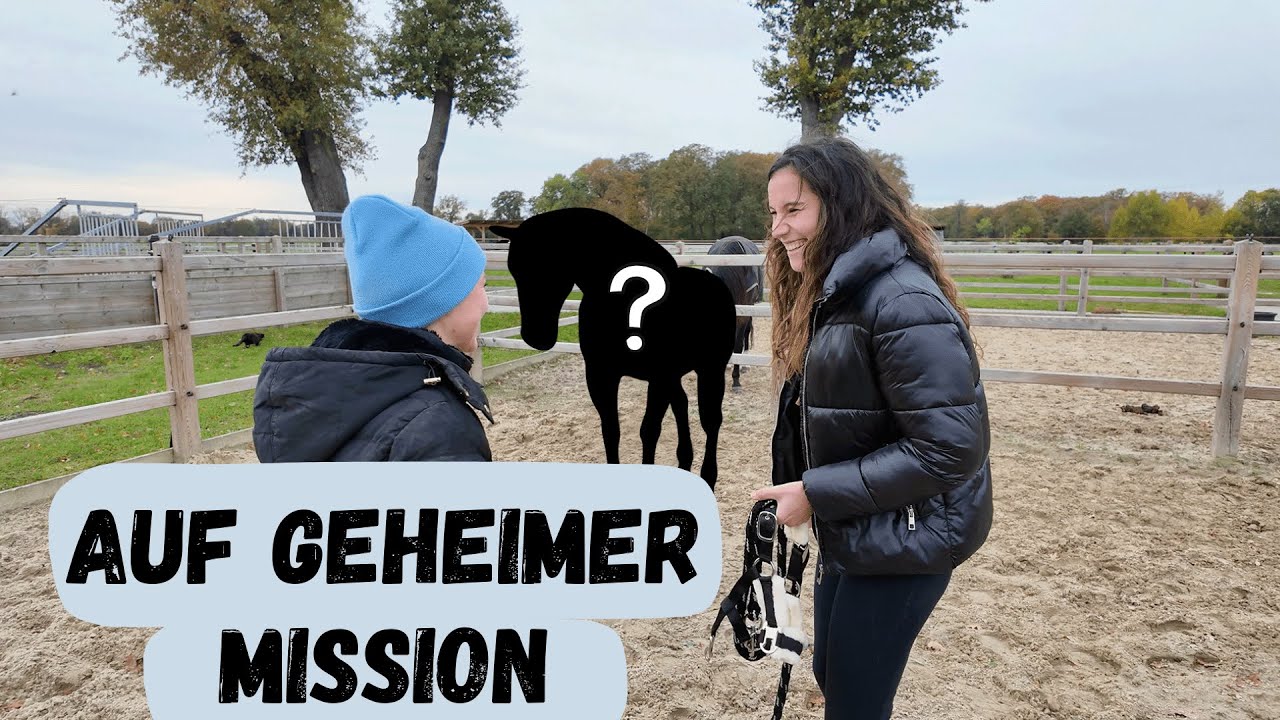 Did I buy another HORSE?!