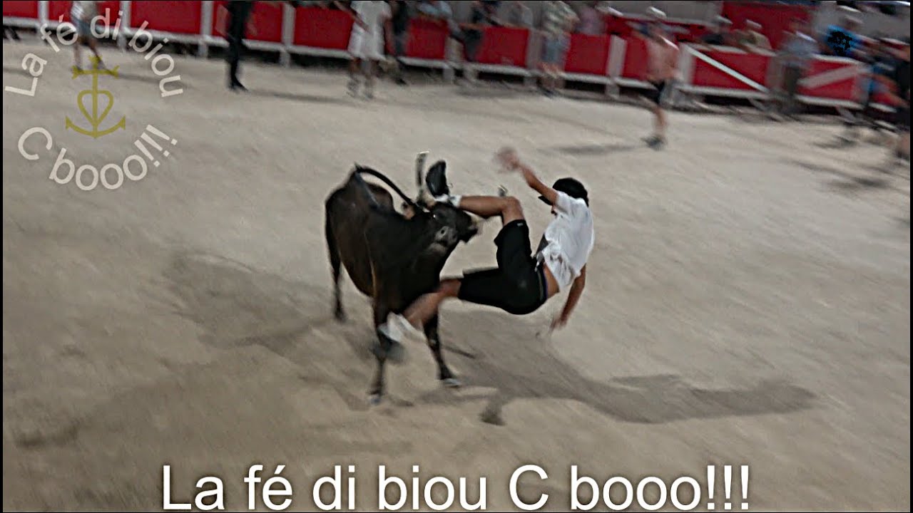 Caissargues ▶course de vachettes et encierro◀ 06.06.2025.