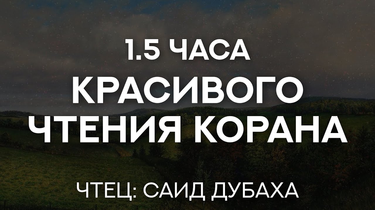 САИД ДУБАХА. 1.5 ЧАСА КРАСИВОГО ЧТЕНИЯ КОРАНА. Said Debbah (سعيد دباح)