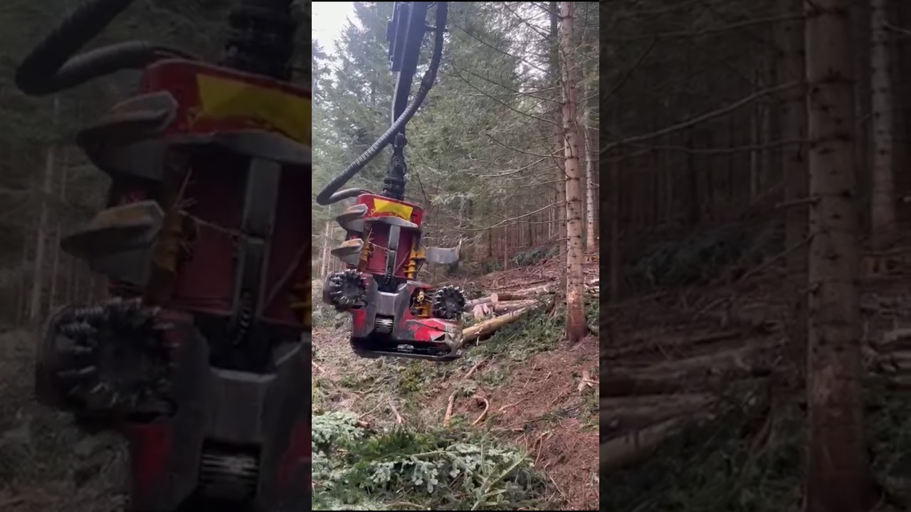 WOODY WH40-1 #harwester #wycinkadrzew #las #konradforsttechnik #woody