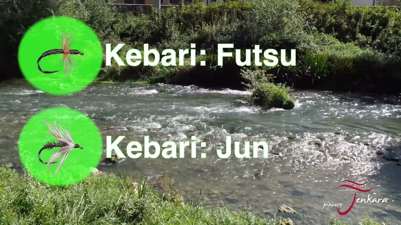 Video corso di Tecnica Tenkara - ep. 07  Strategie di pesca  - Spot 1