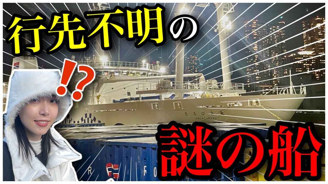 【行先不明】どこへ行く！？行先ランダムな〝謎の船”へ乗船！さるびあ丸【東海汽船/ミステリーきっぷ】フェリー旅