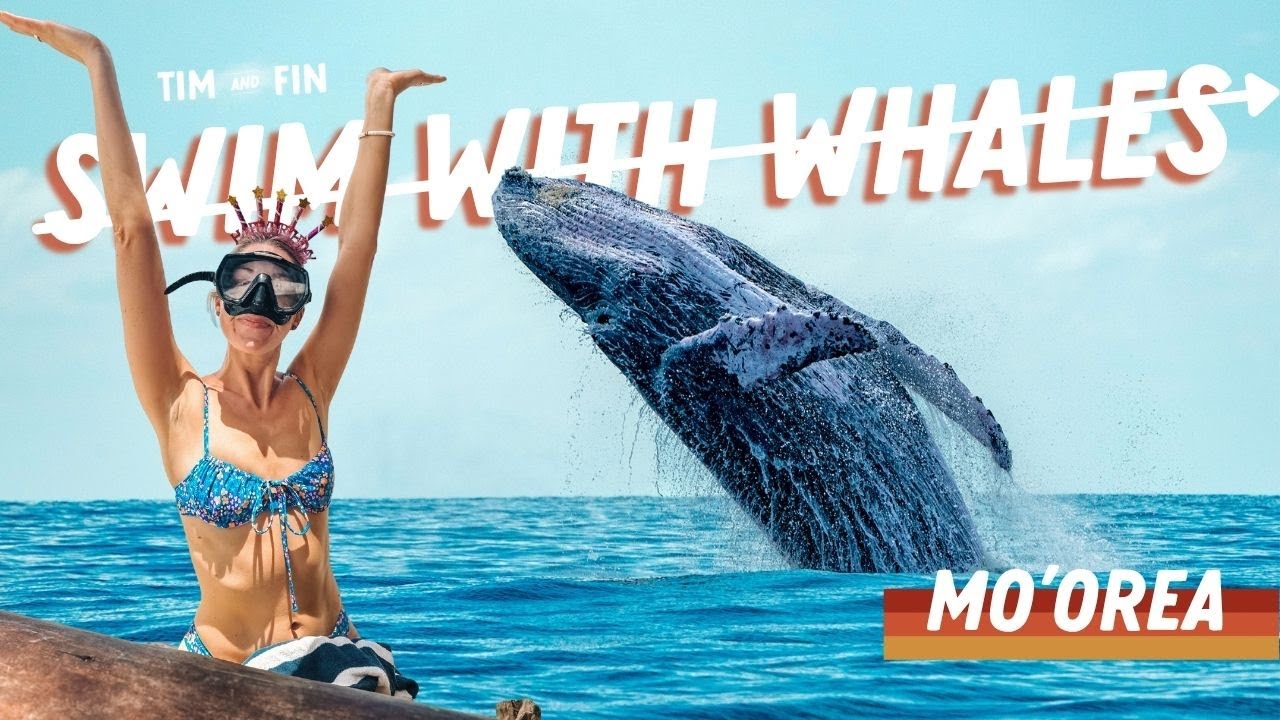✅ CROSSING IT OFF EP13: Swimming with Humpback Whales in Moorea 🌊🐋