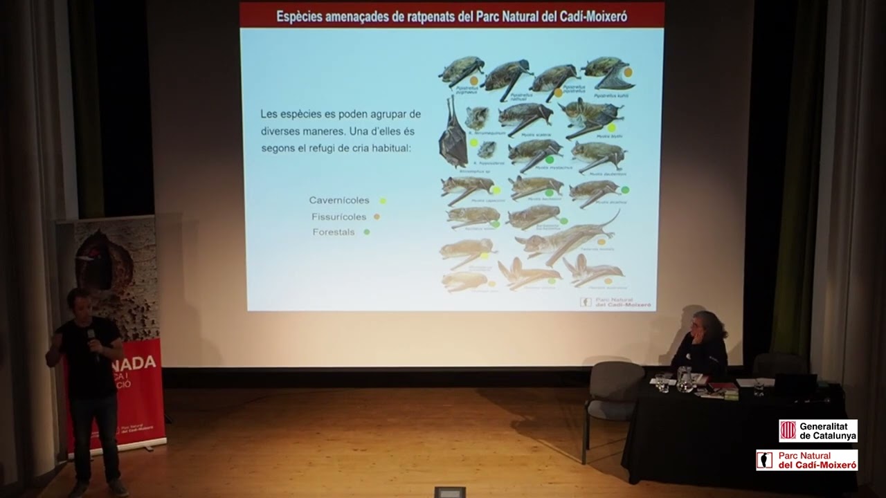 Espècies amenaçades de ratpenats del Parc Natural del Cadí-Moixeró