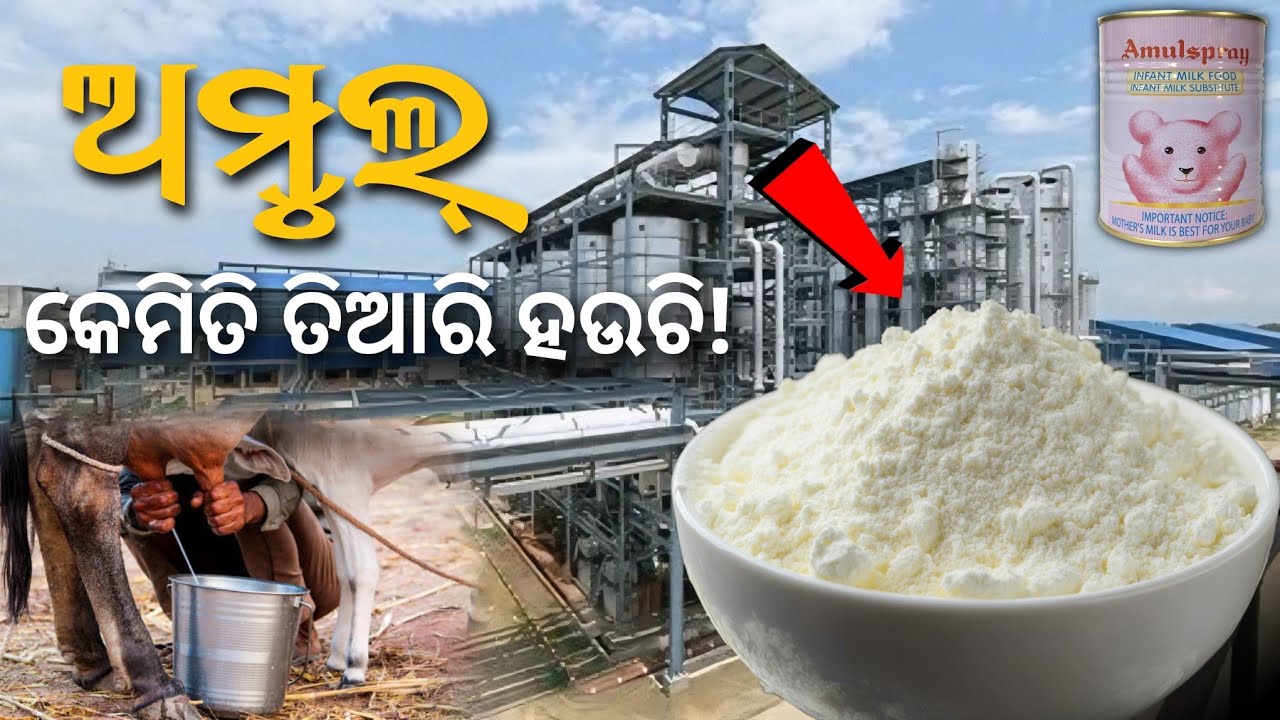 ଅମୁଲ୍ କେମିତି ବନା ହଉଚି! How Made is Milk Powder in Factory| Milk Powder Kese Banta Hai
