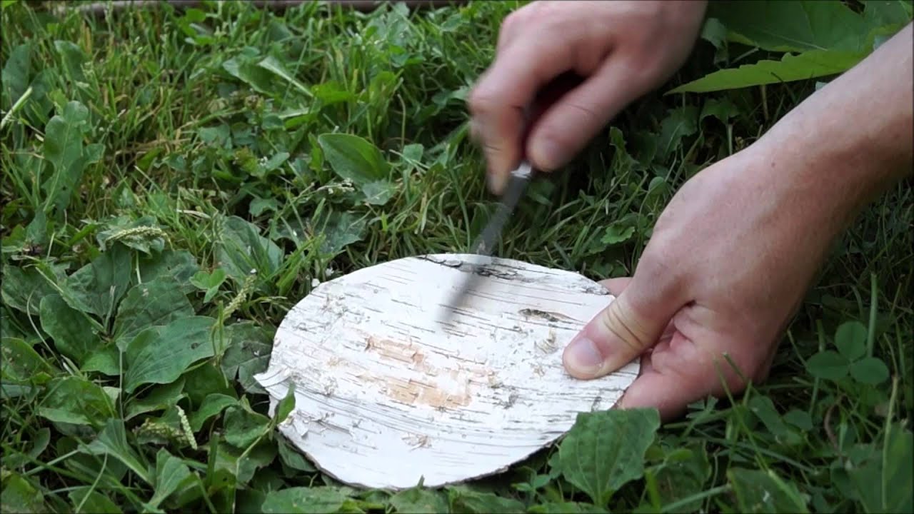 How to make a Birch Bark Cup