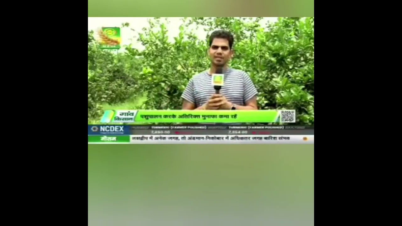 TCBT से 350 एकड़ में प्रमाणित जैविक खेती: बम्फर उपज व कीमत भी ज्यादा :2200 नीबू पौधों से 96लाख इनकम