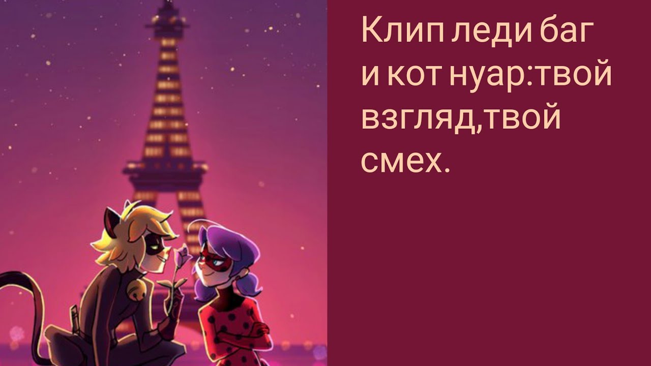 Клип леди баг и кот нуар: