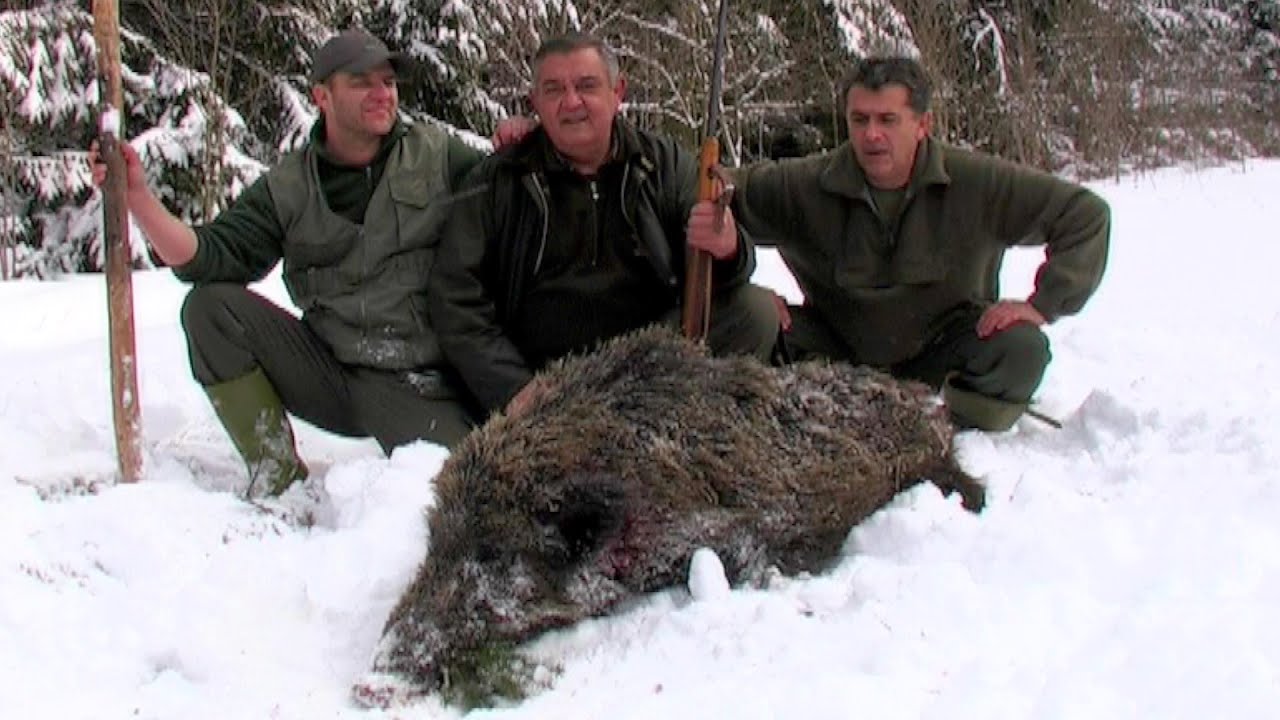 Wild boar hunting BiH - Lov divlje svinje Šipovo - BiH | Caccia ai cinghiali