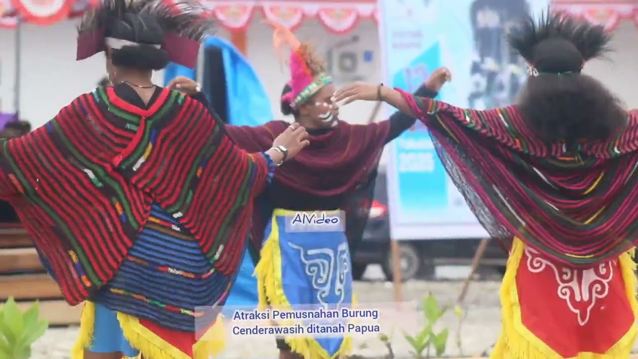 FESTIVAL BUDAYA YAHUKIMO 2025, ATRAKSI TENTANG CENDERAWASIH