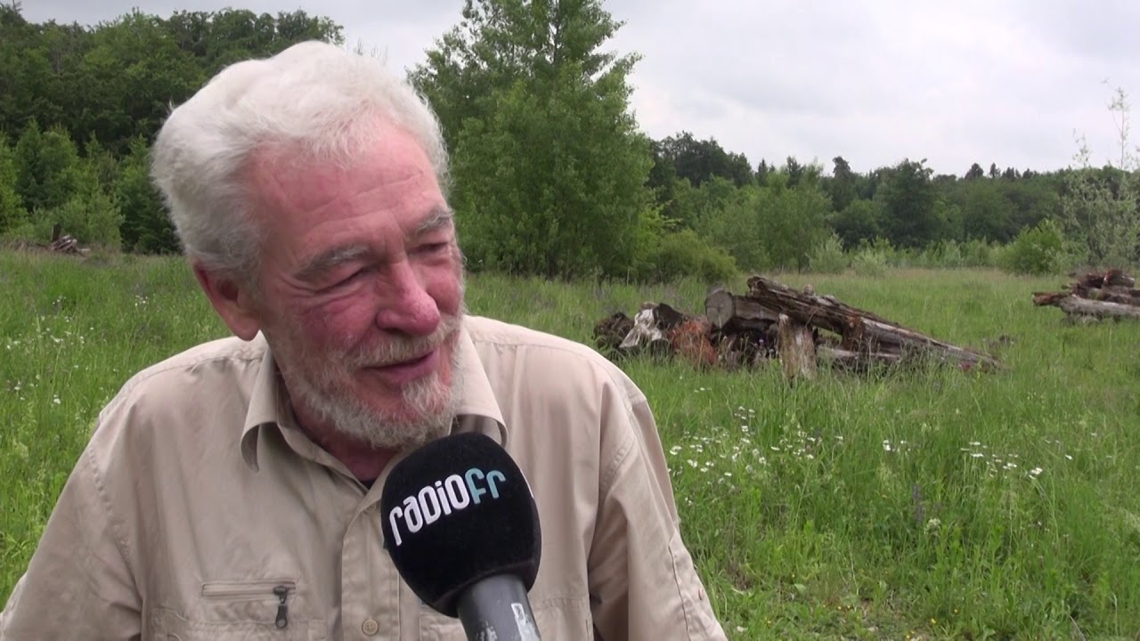 Biodiversit&auml;t im Sensebezirk