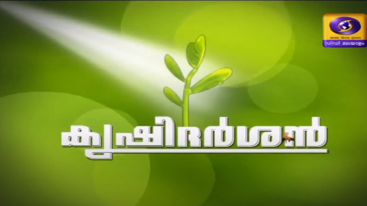 കിഴങ്ങുവർഗ്ഗ വിളകളുടെ അഭിമാനസ്ഥാപനം | 03 -02 -21 | CTCRI, ICAR | കൃഷിദർശൻ | DD Malayalam