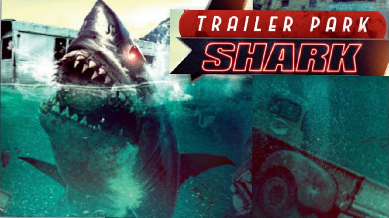 TRAILER PARK SHARK / MUSIC VIDEO